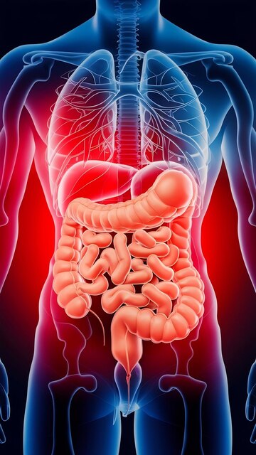 gastrointestinal